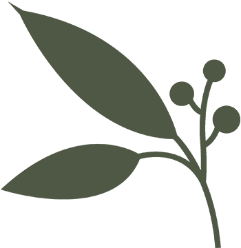 leaveOne-green-350x360